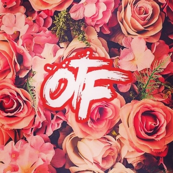 Meet your Posher, Richardina - Picture 1 of 1